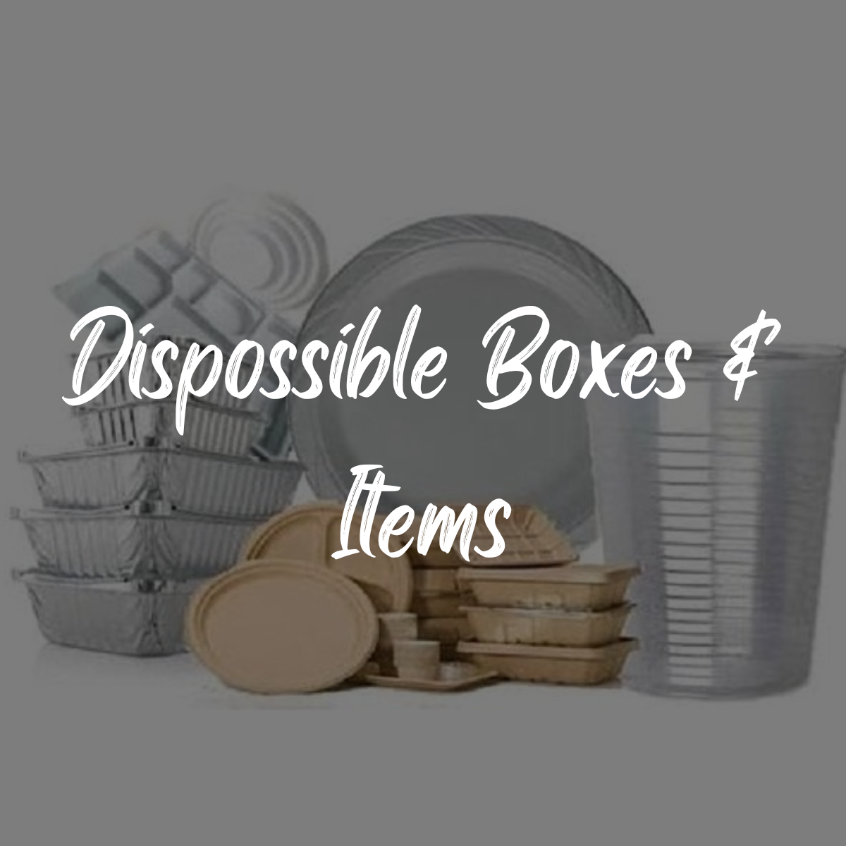 Dispossible Boxes & Items